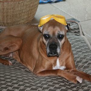 Meet your Posher, Jamie